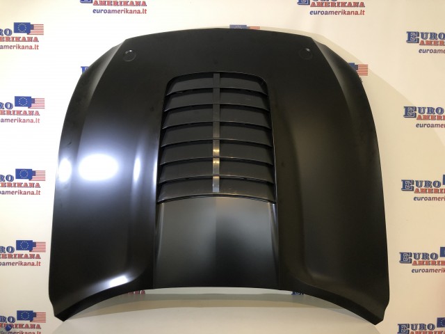 Hood (GT500 Style)